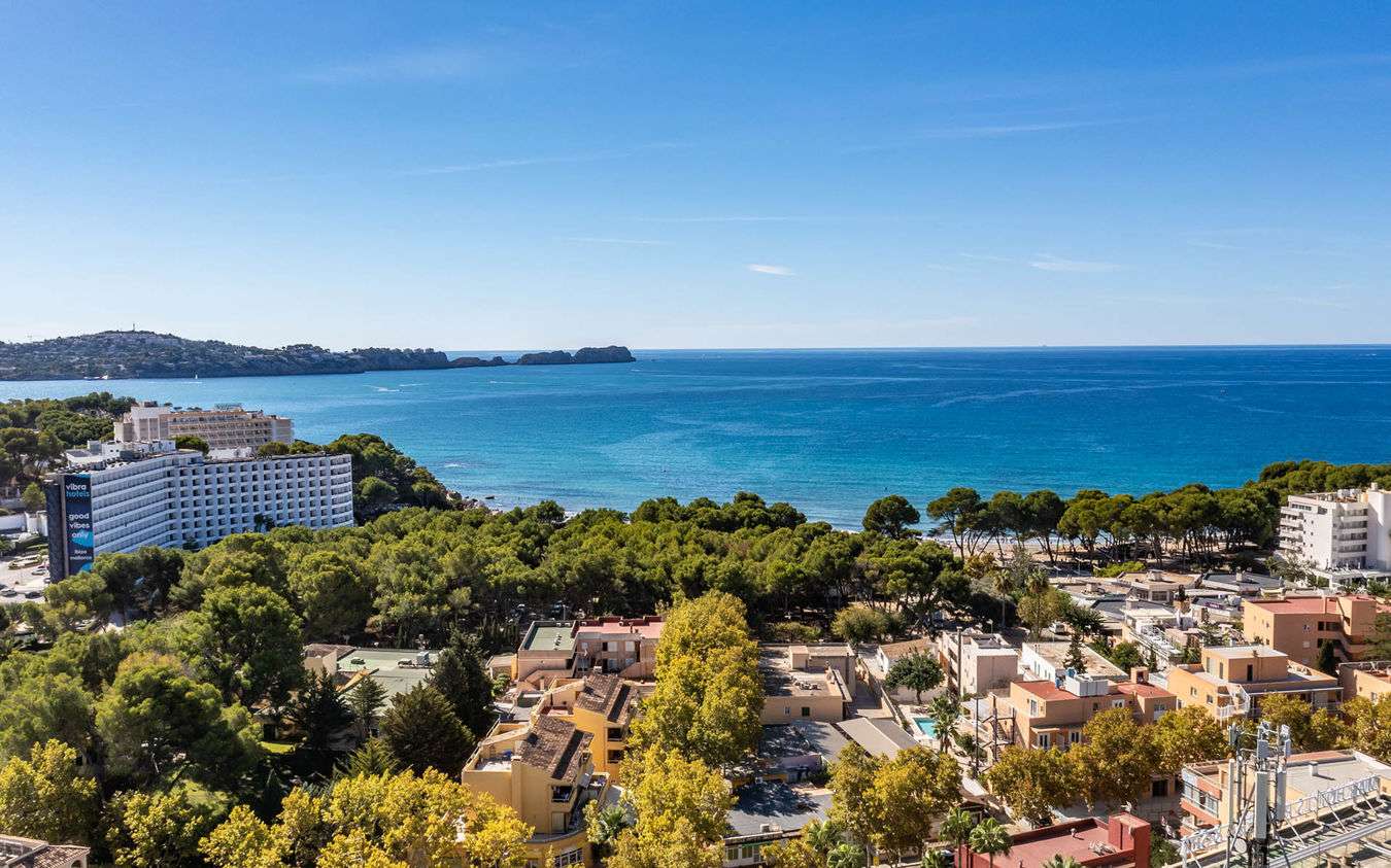 [object Object] - image