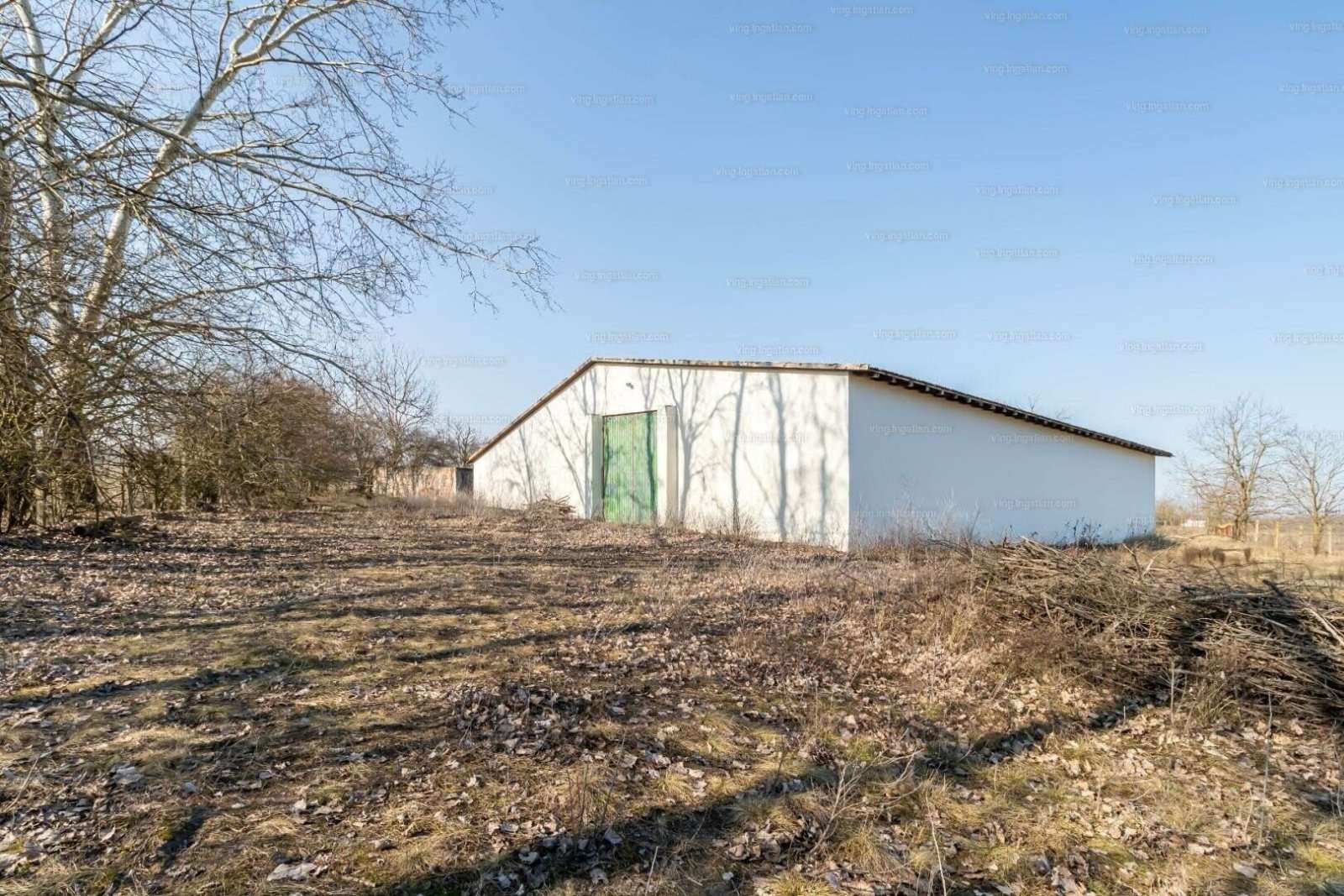 [object Object] - image