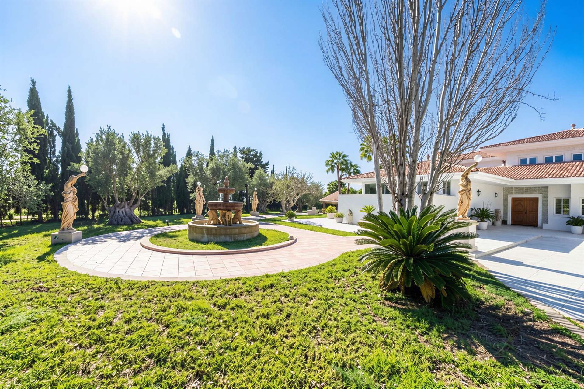 [object Object] - image