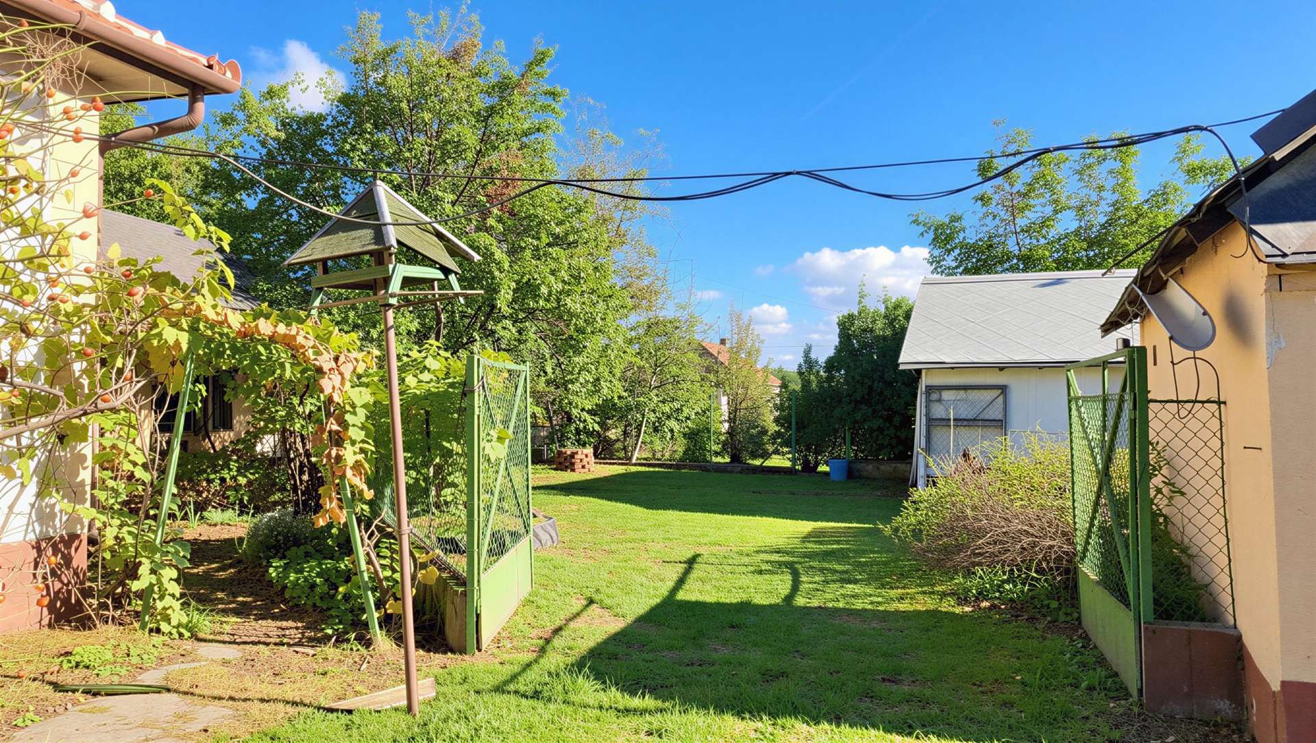 [object Object] - image