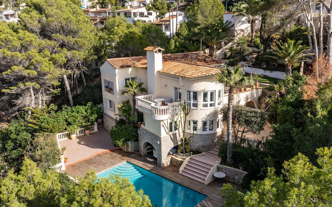 [object Object] - image