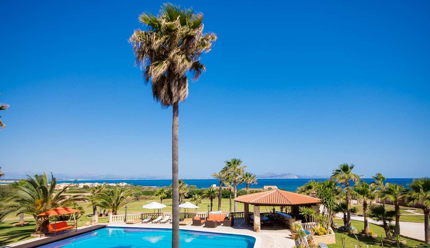 [object Object] - image