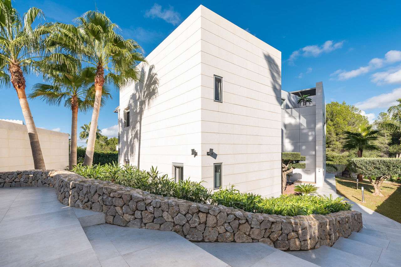 [object Object] - image