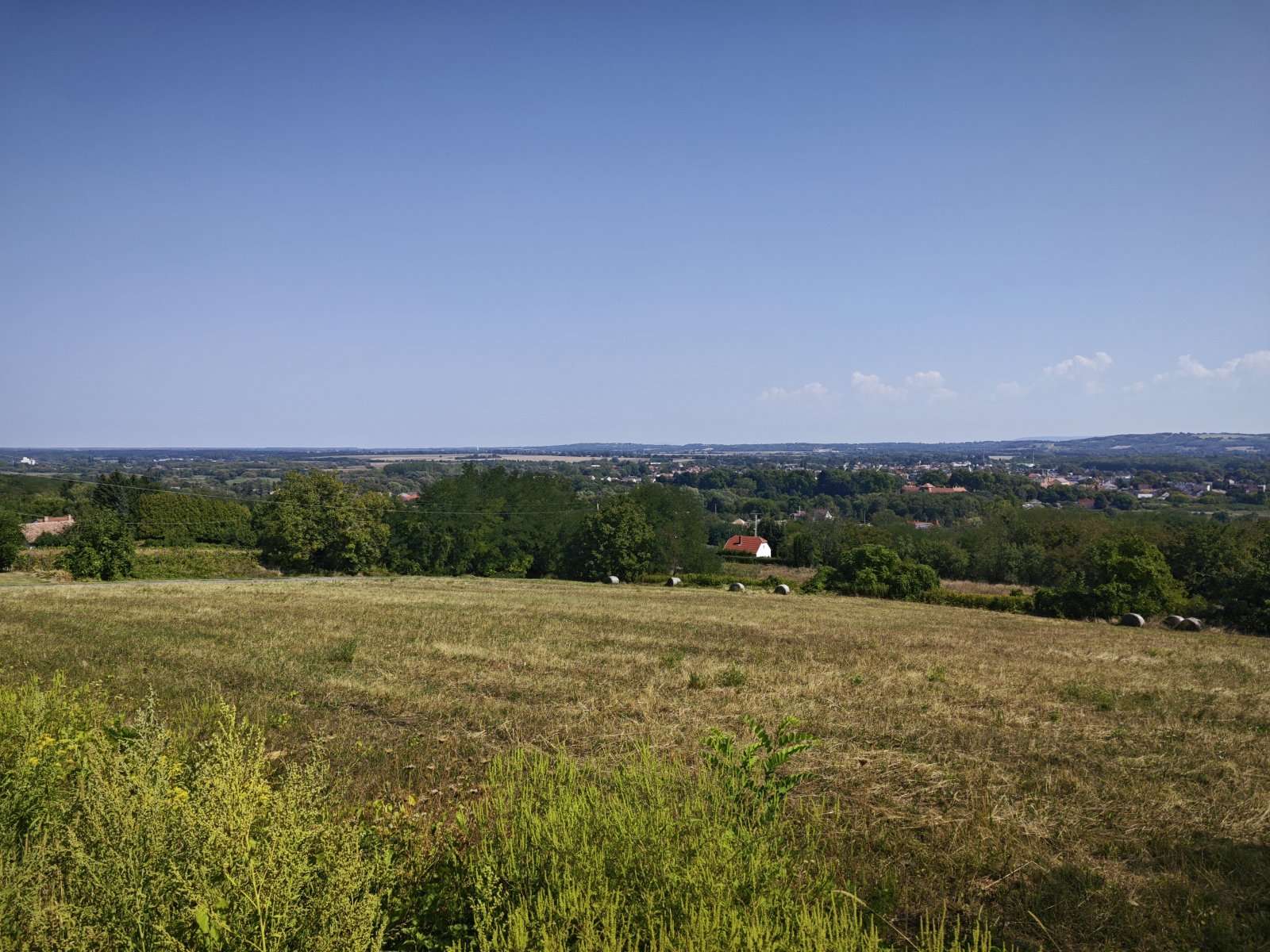 [object Object] - image