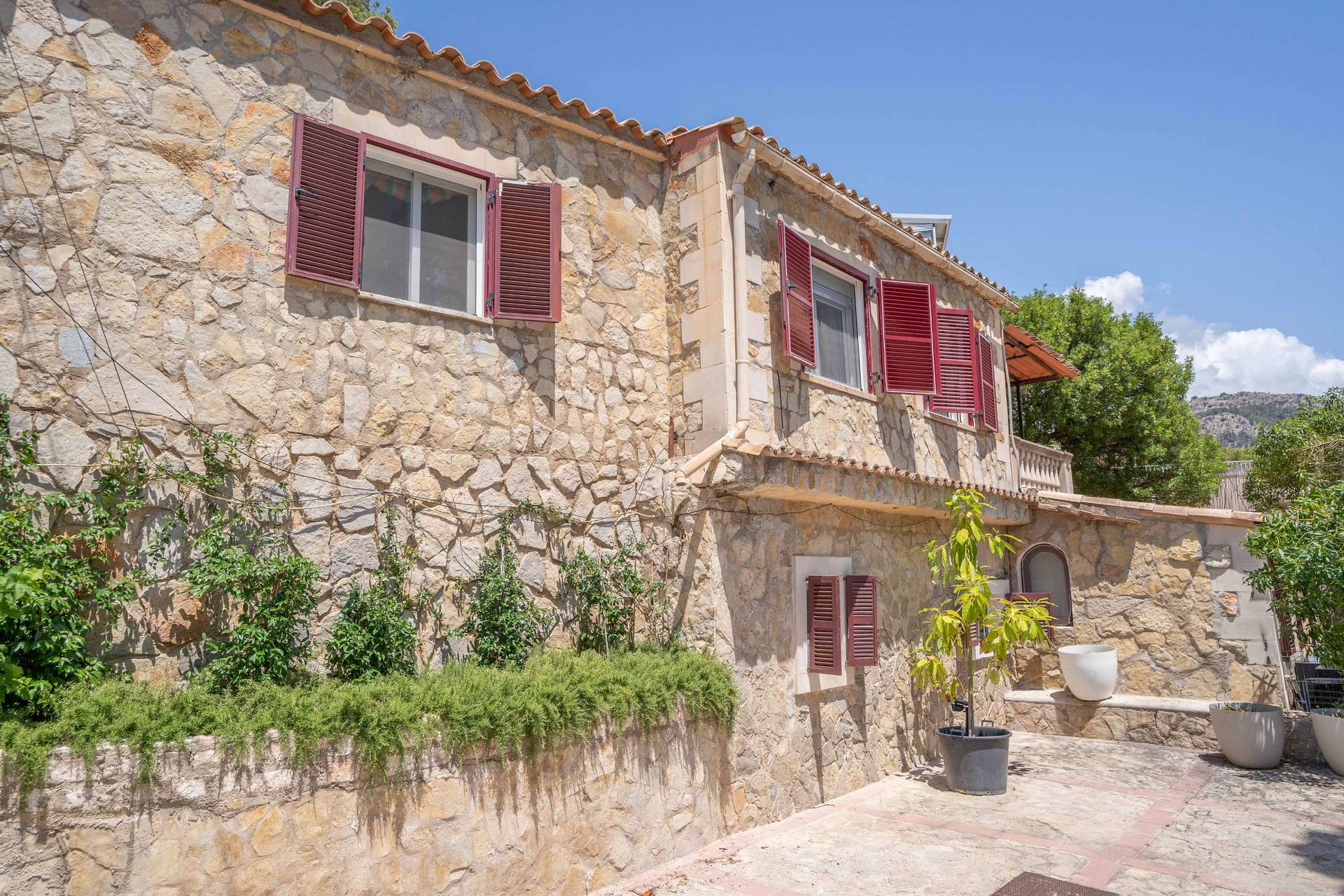 [object Object] - image