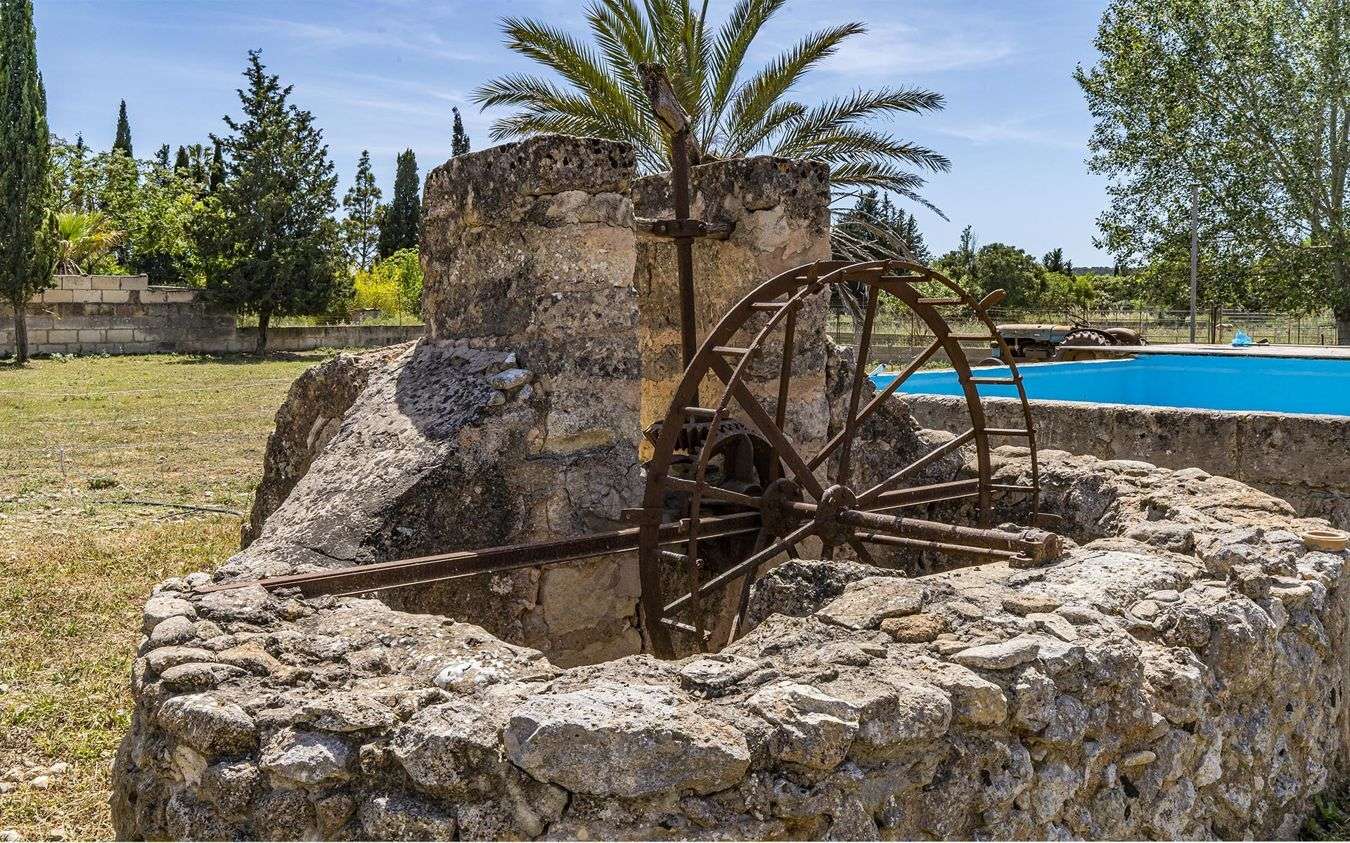 [object Object] - image