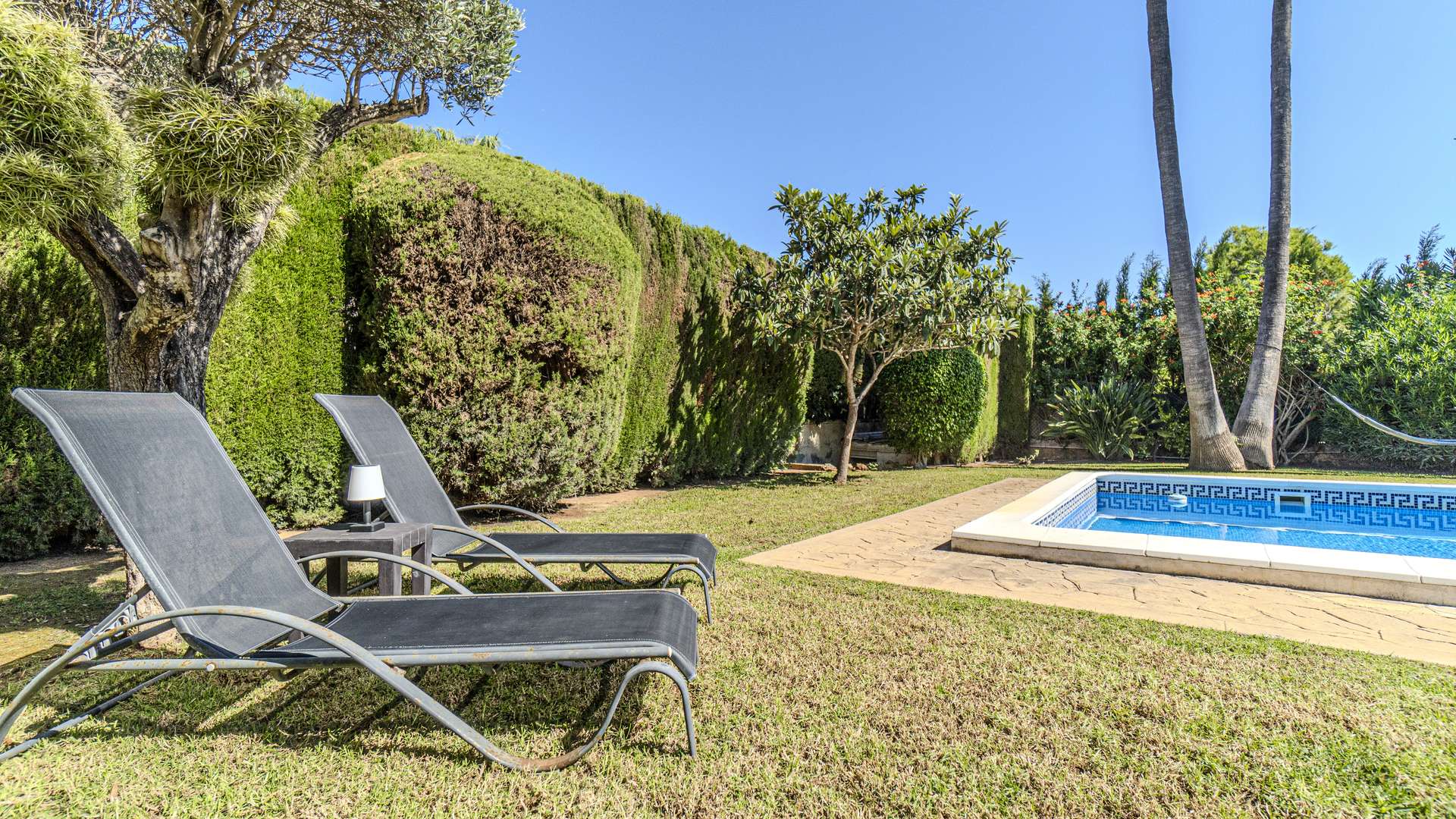 [object Object] - image