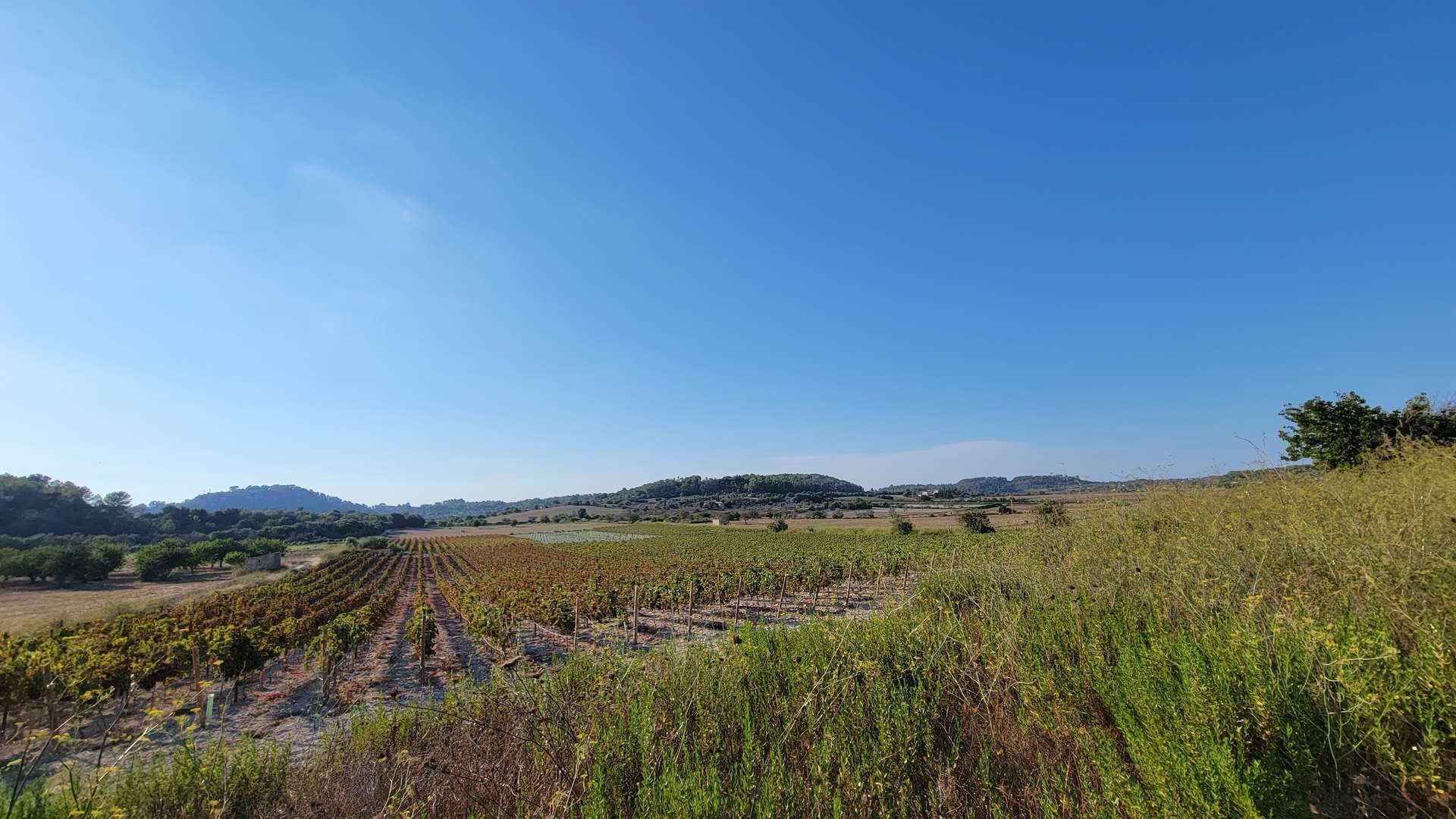 [object Object] - image