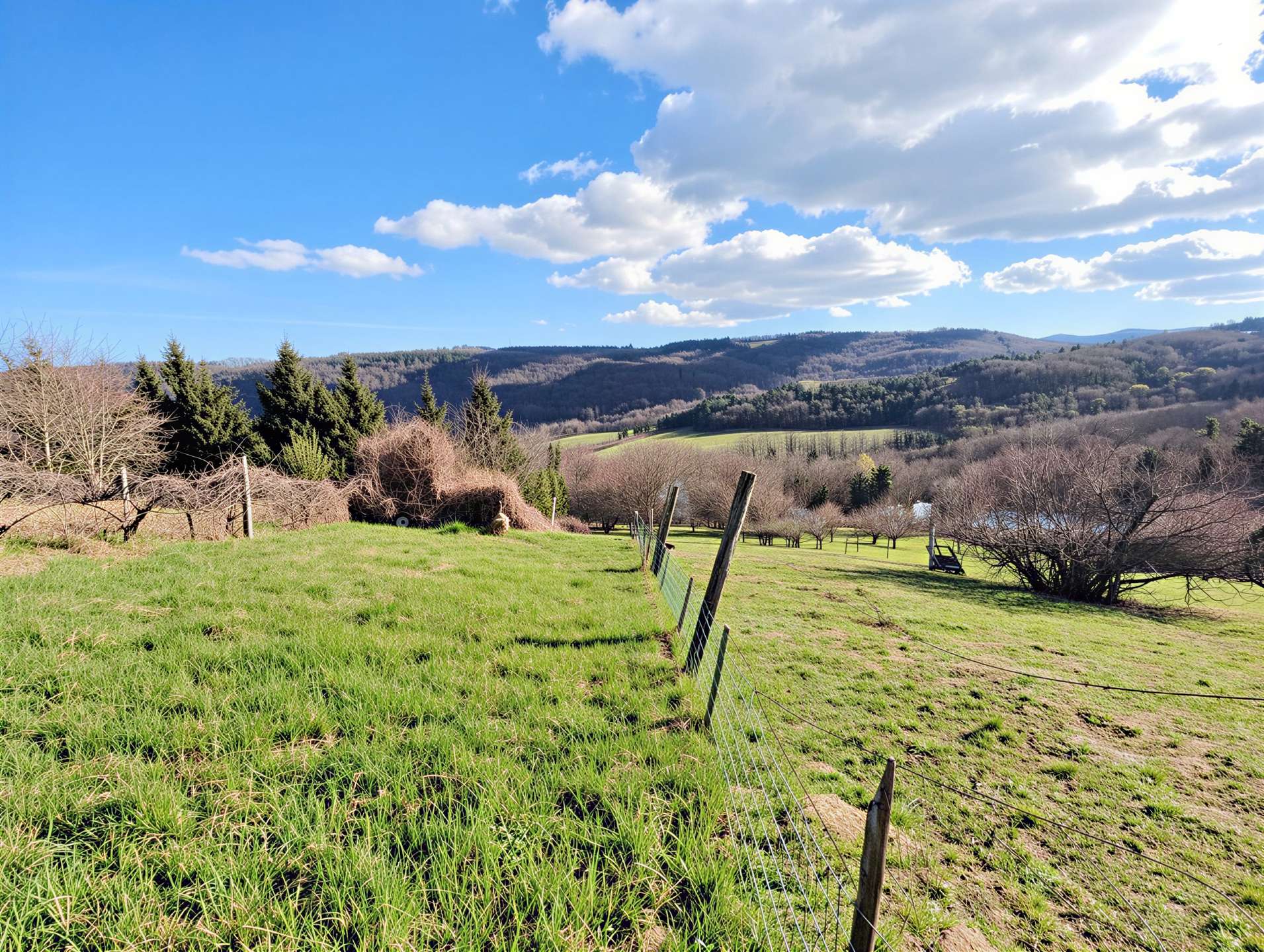 [object Object] - image