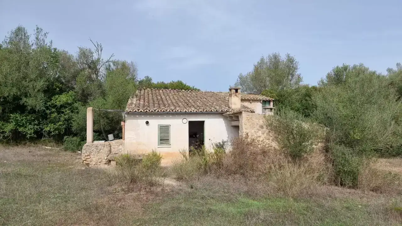 [object Object] - image