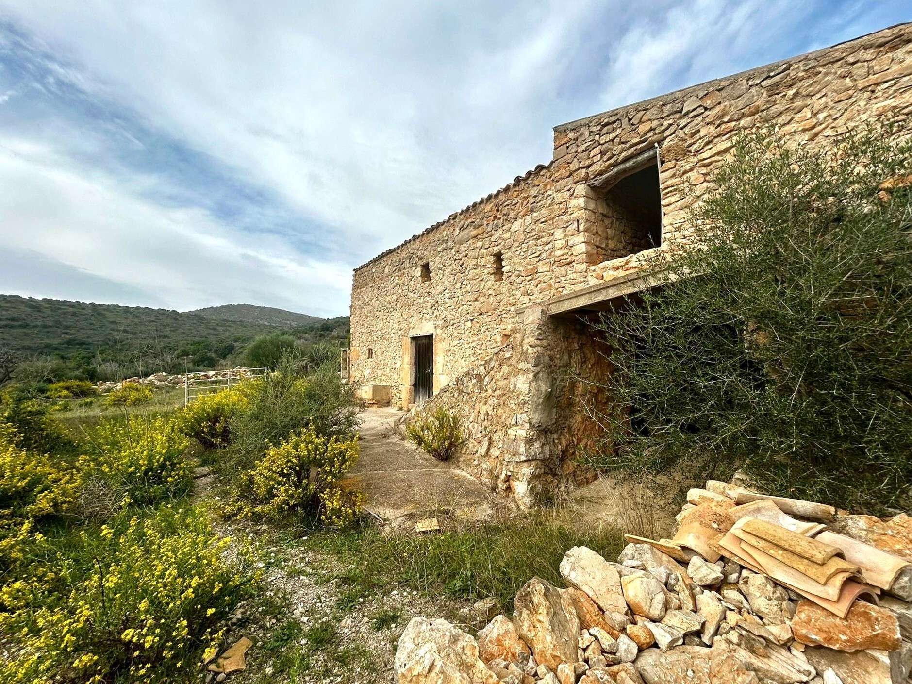 [object Object] - image