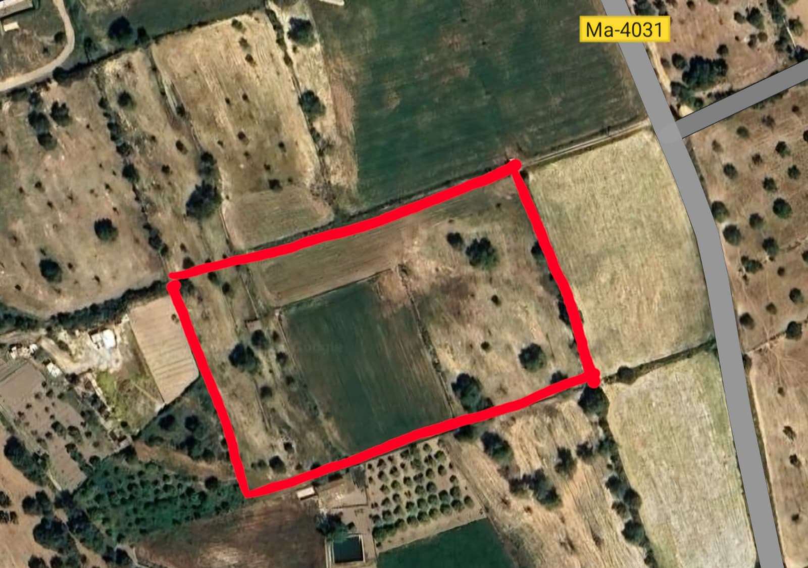 [object Object] - image