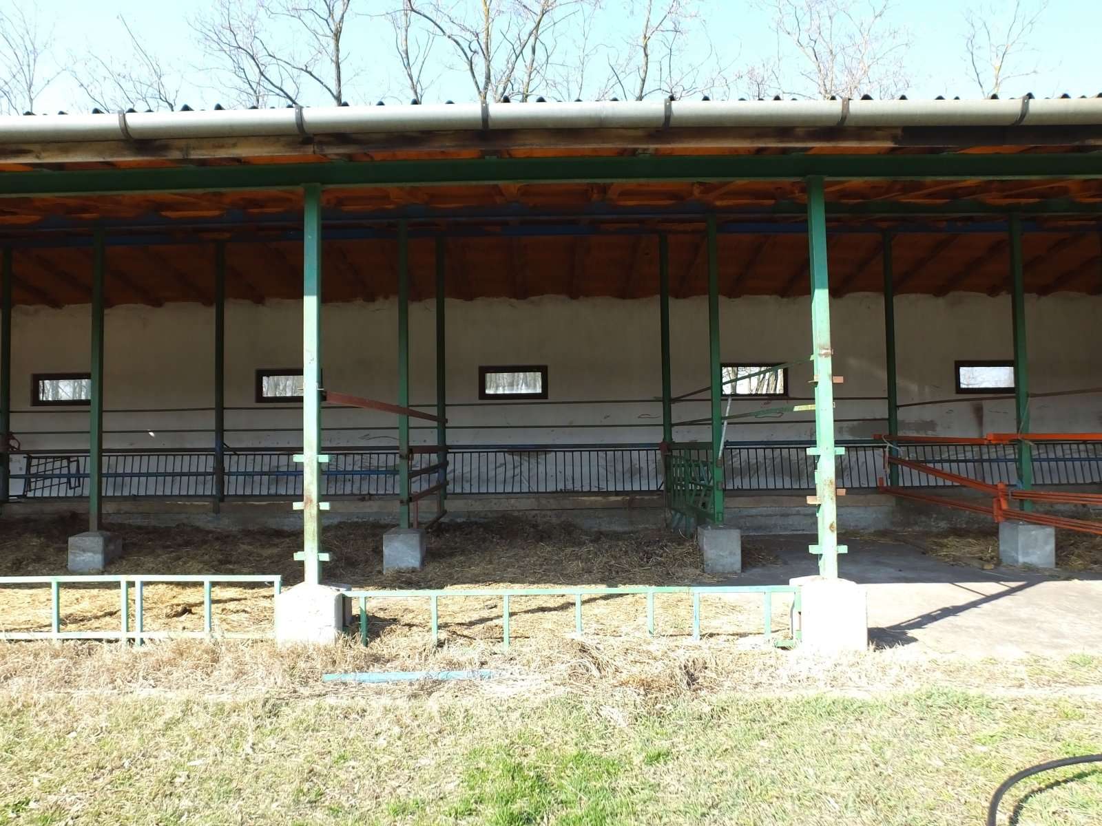 [object Object] - image