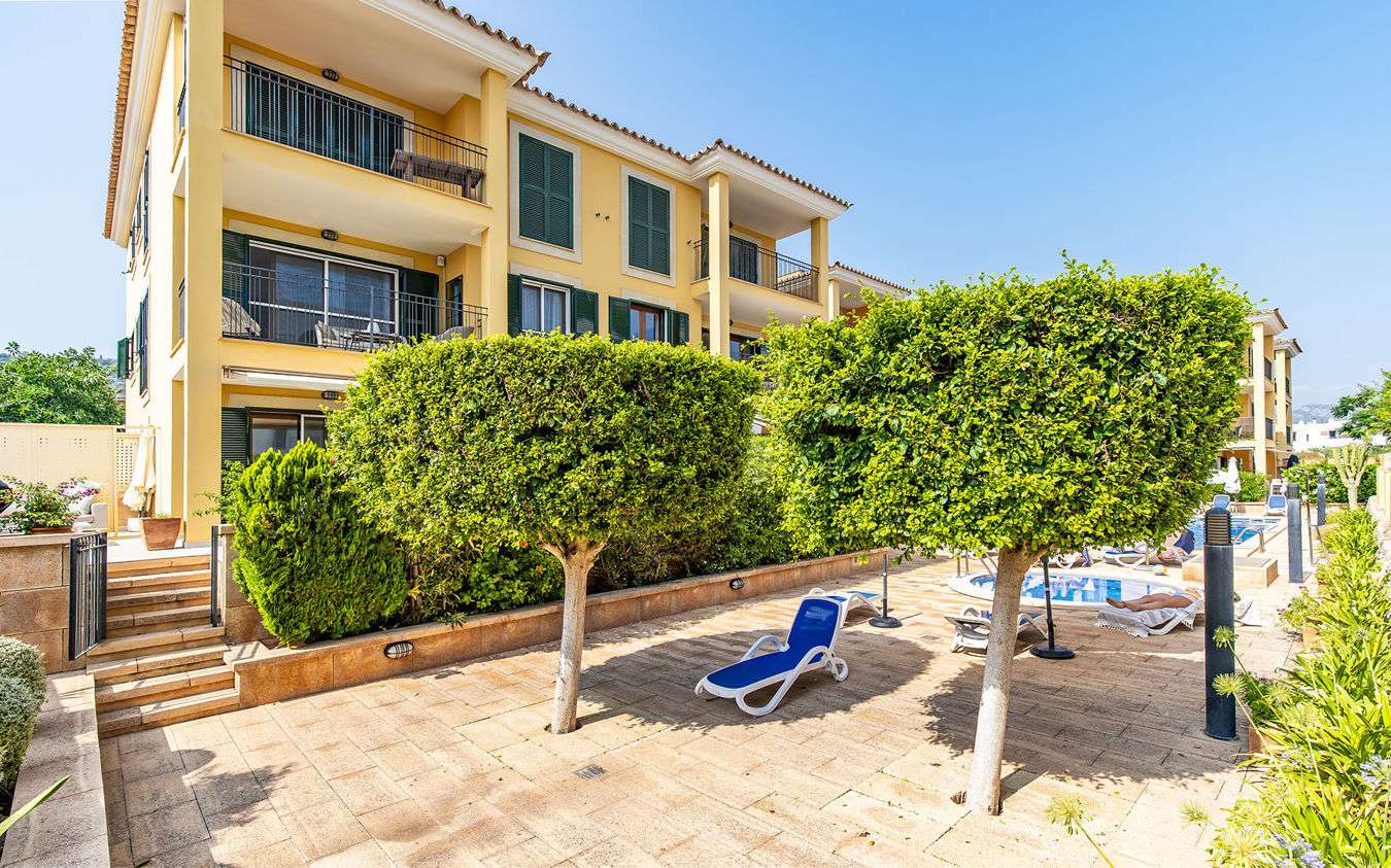 [object Object] - image