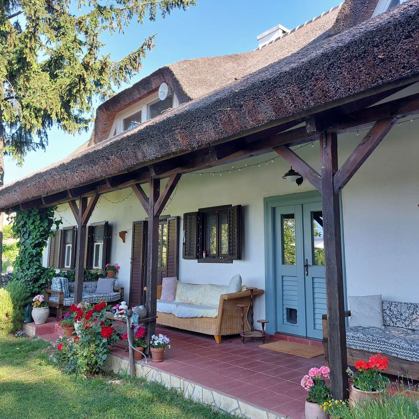 [object Object] - image