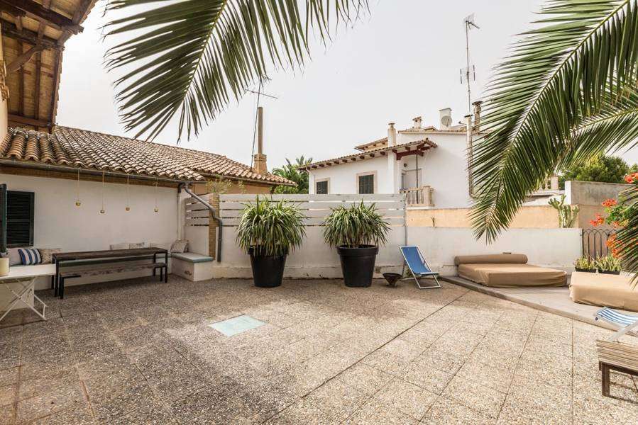 [object Object] - image