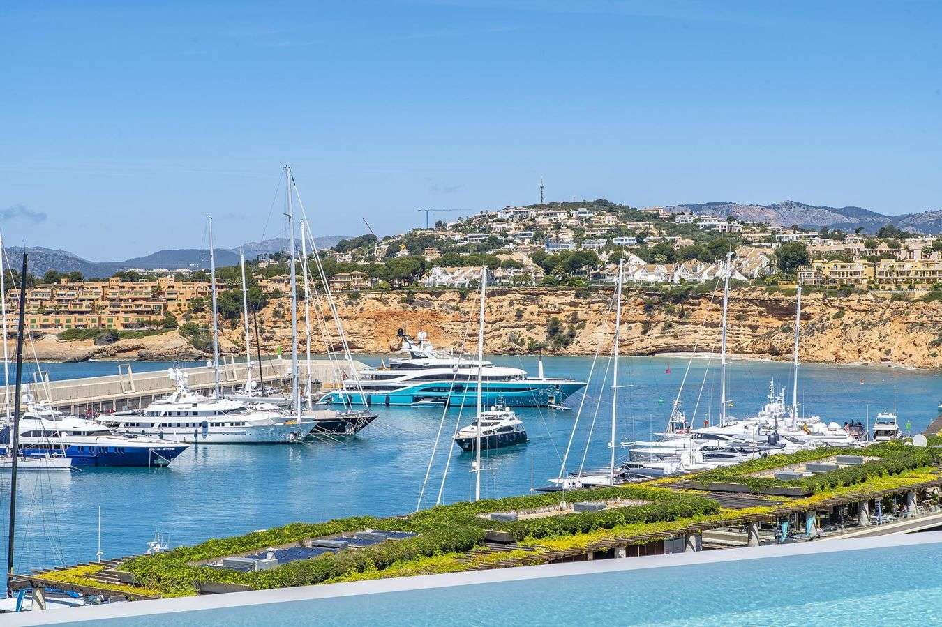 [object Object] - image