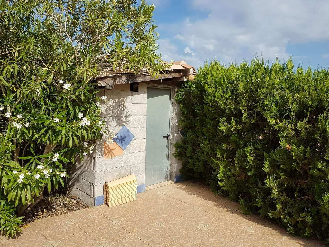 [object Object] - image