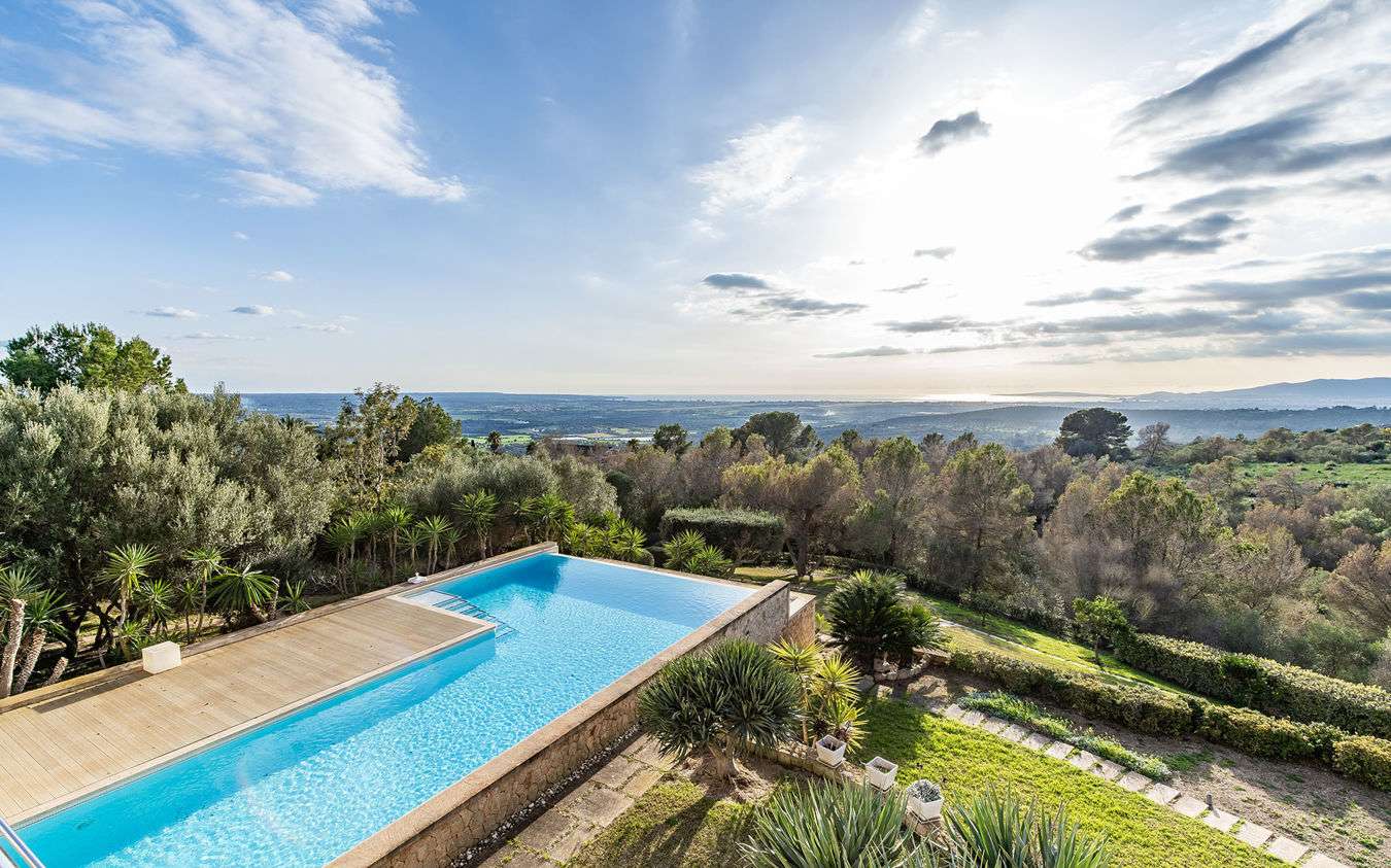 [object Object] - image