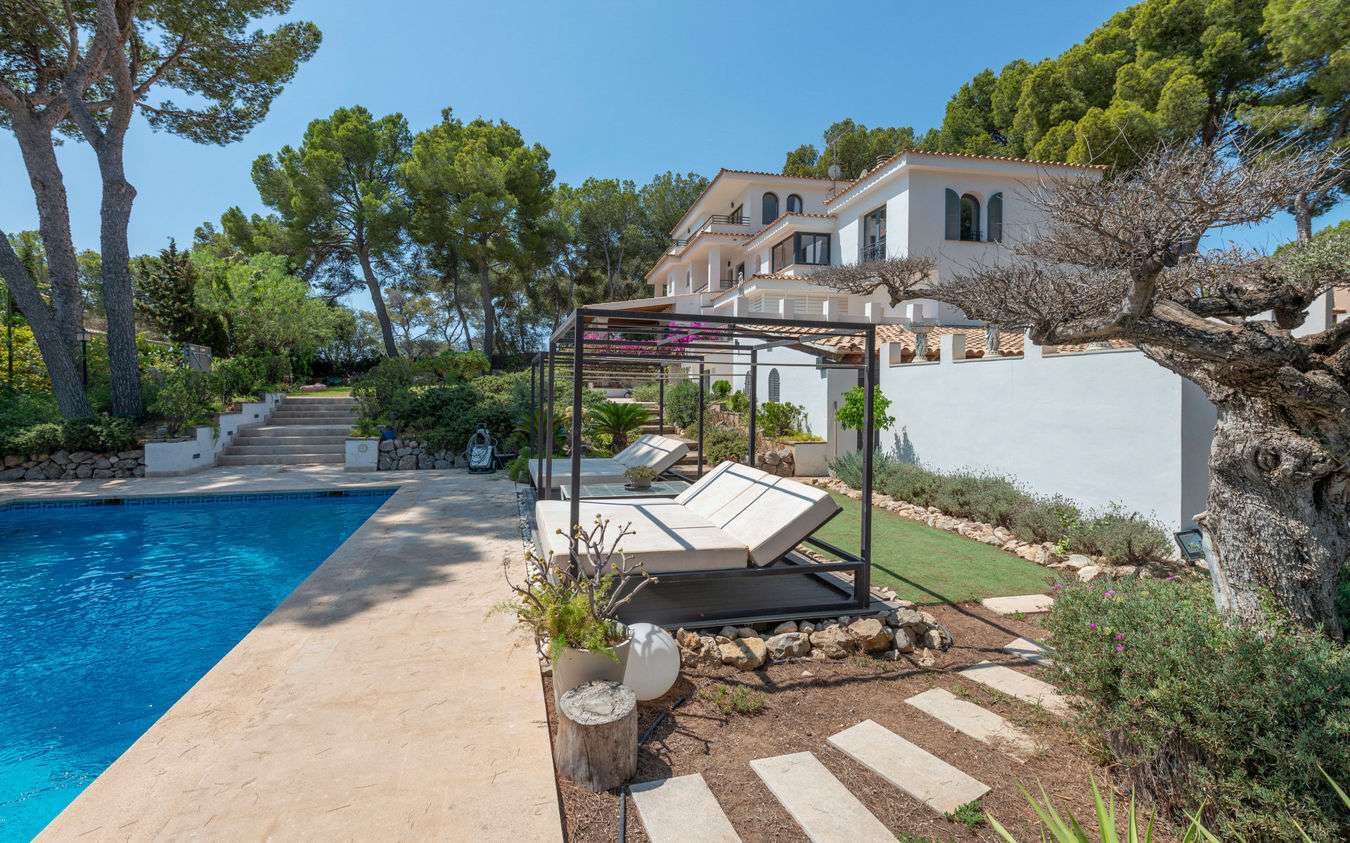 [object Object] - image