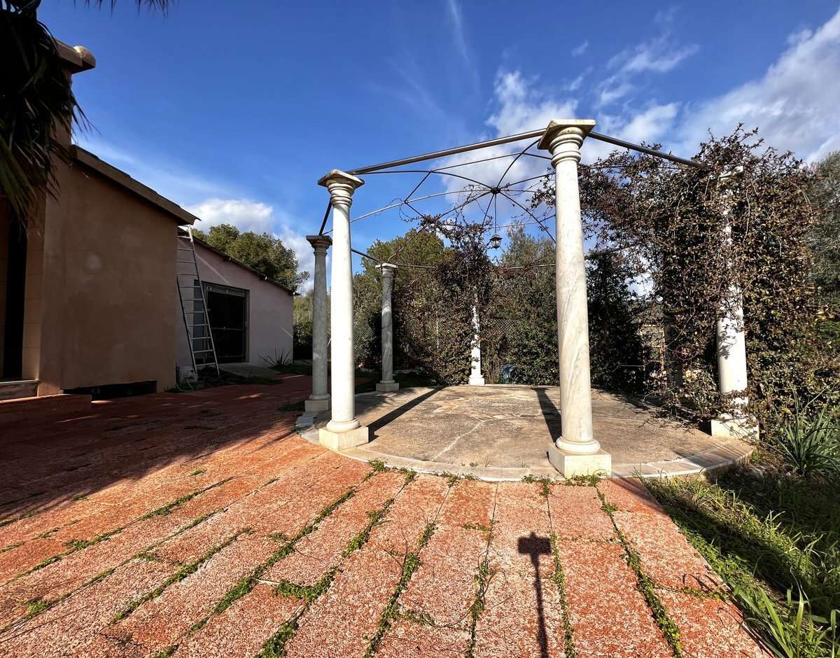 [object Object] - image