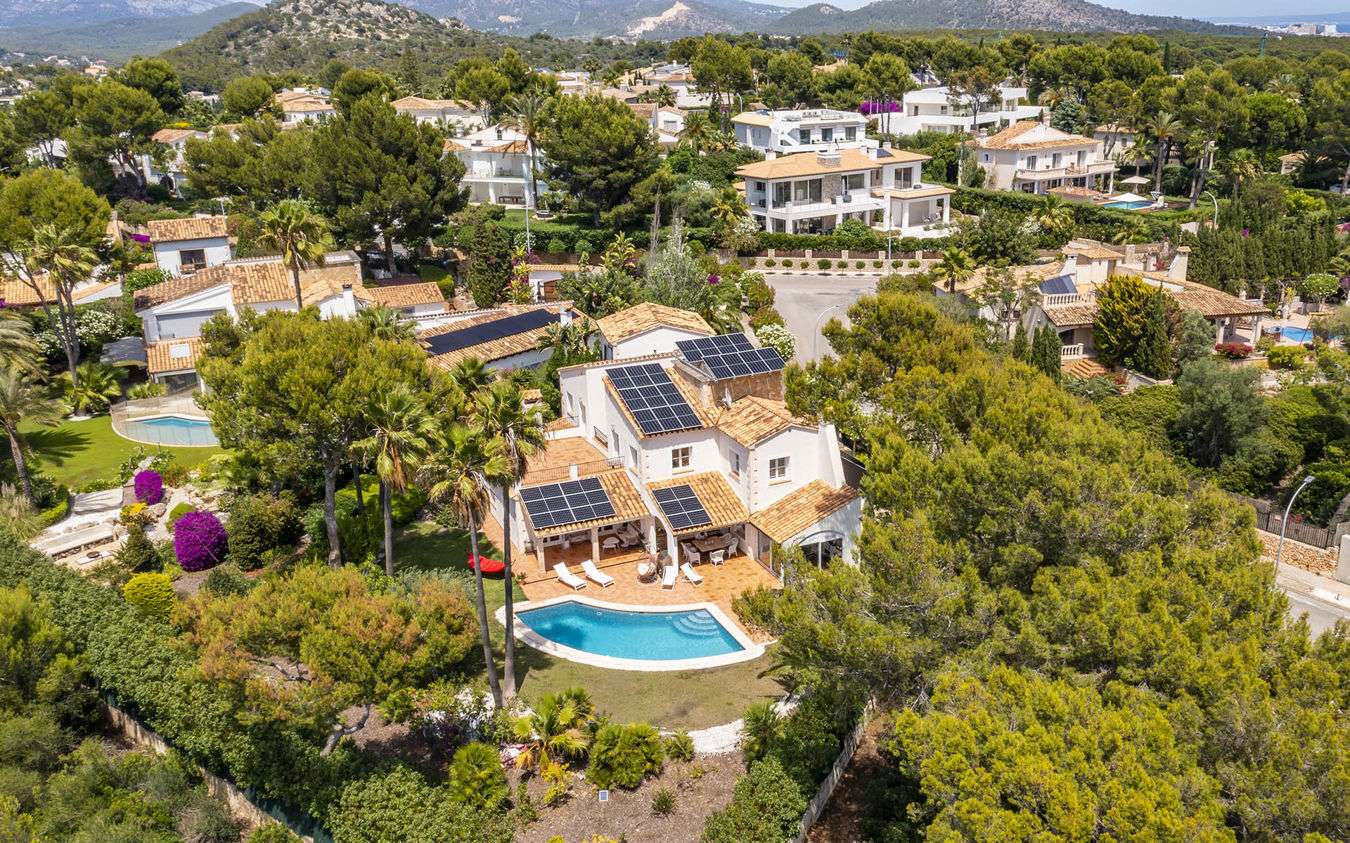 [object Object] - image