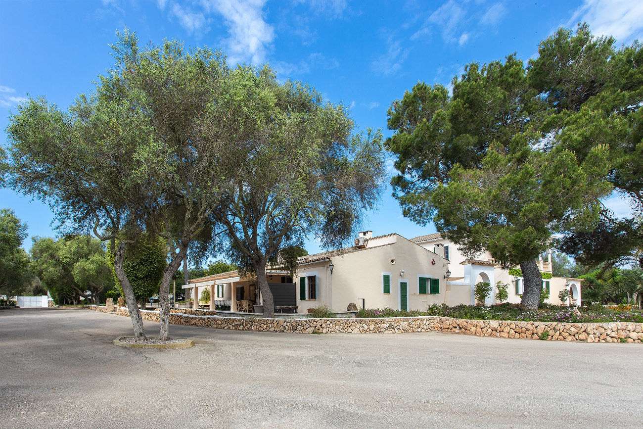 [object Object] - image