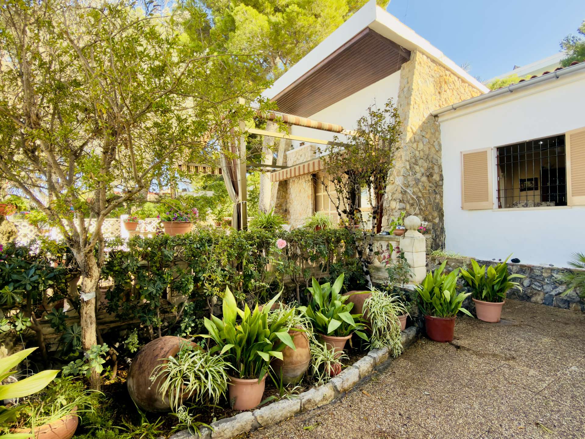 [object Object] - image