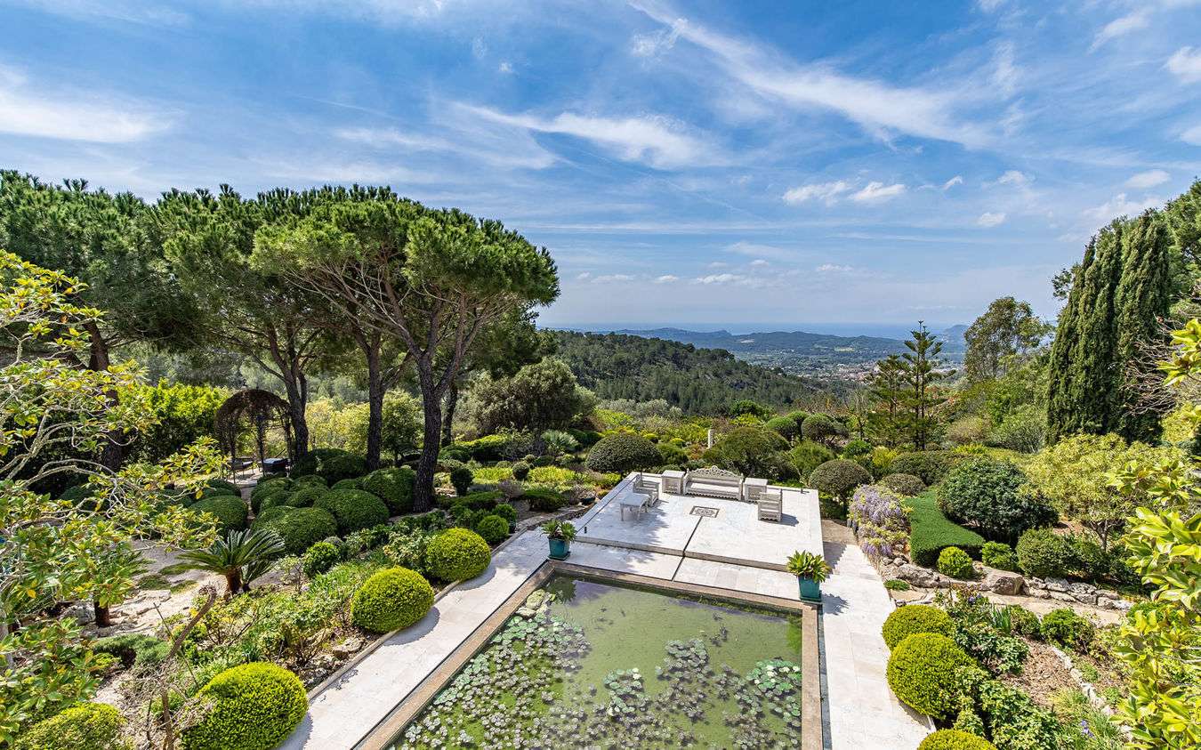 [object Object] - image