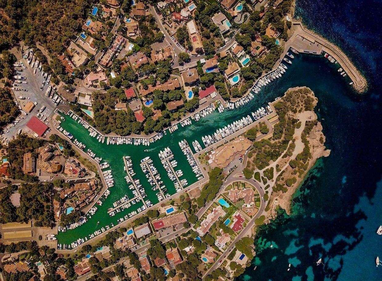 [object Object] - image