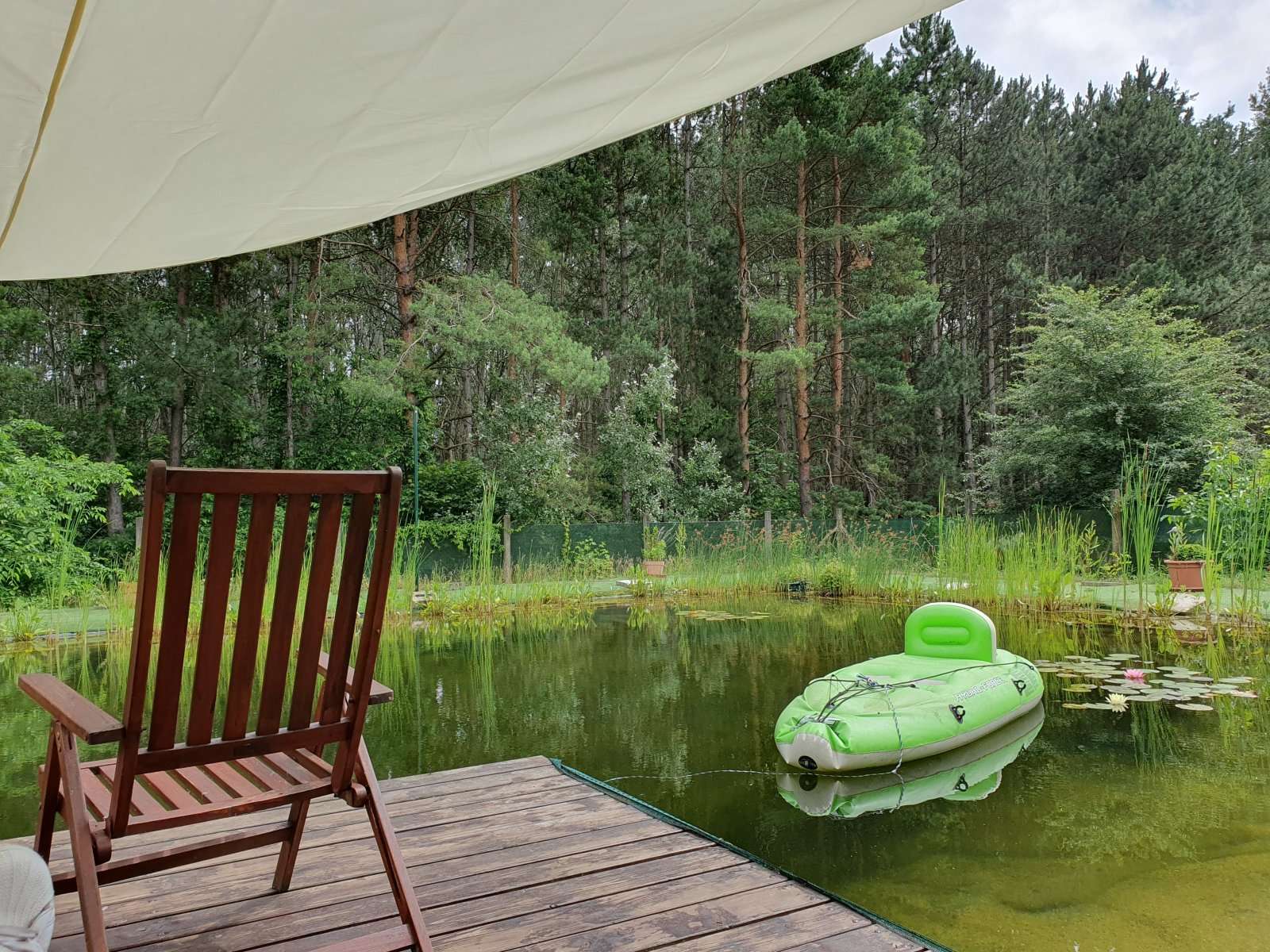 [object Object] - image