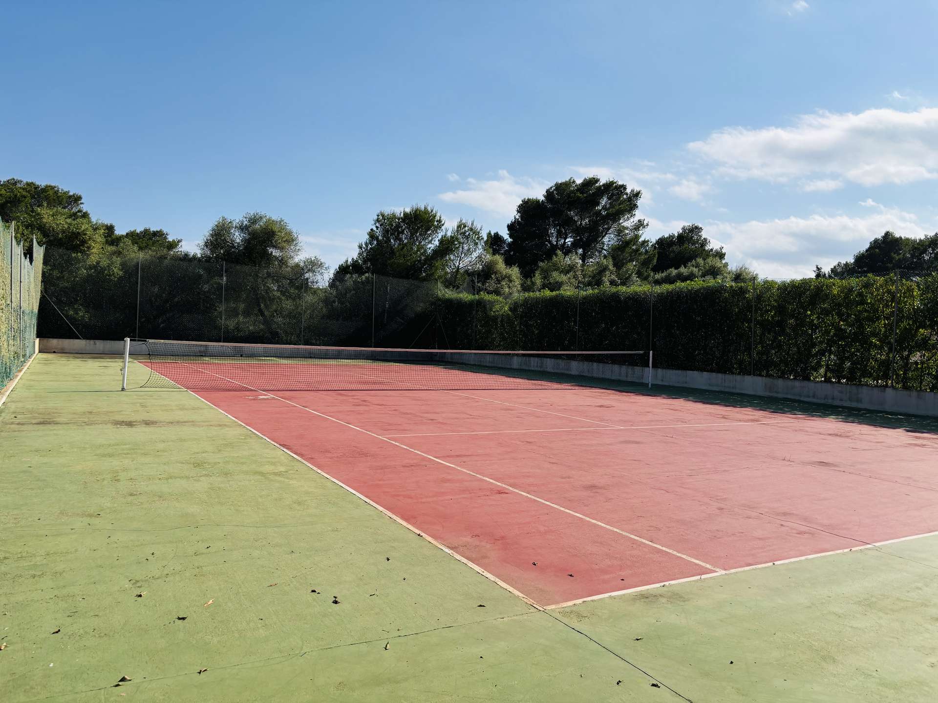 [object Object] - image