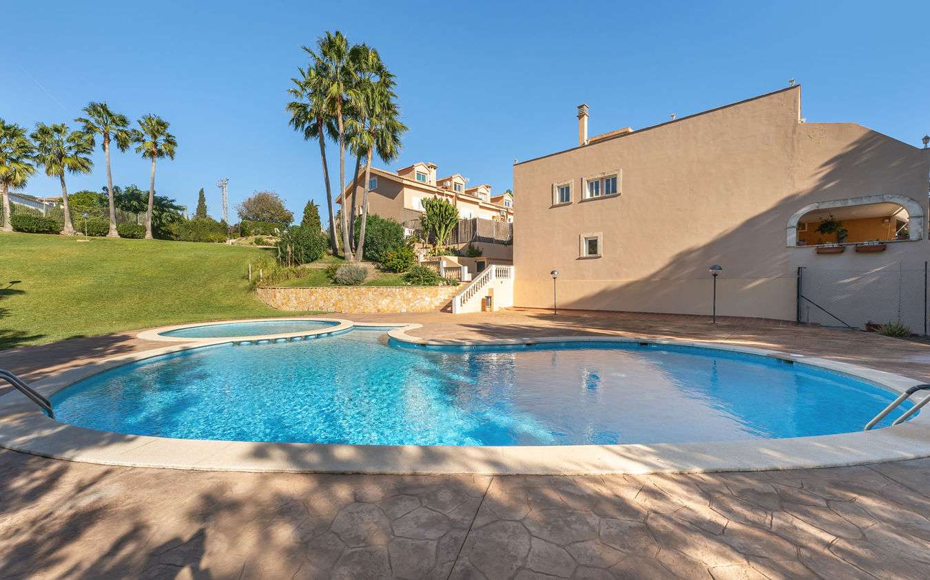 [object Object] - image