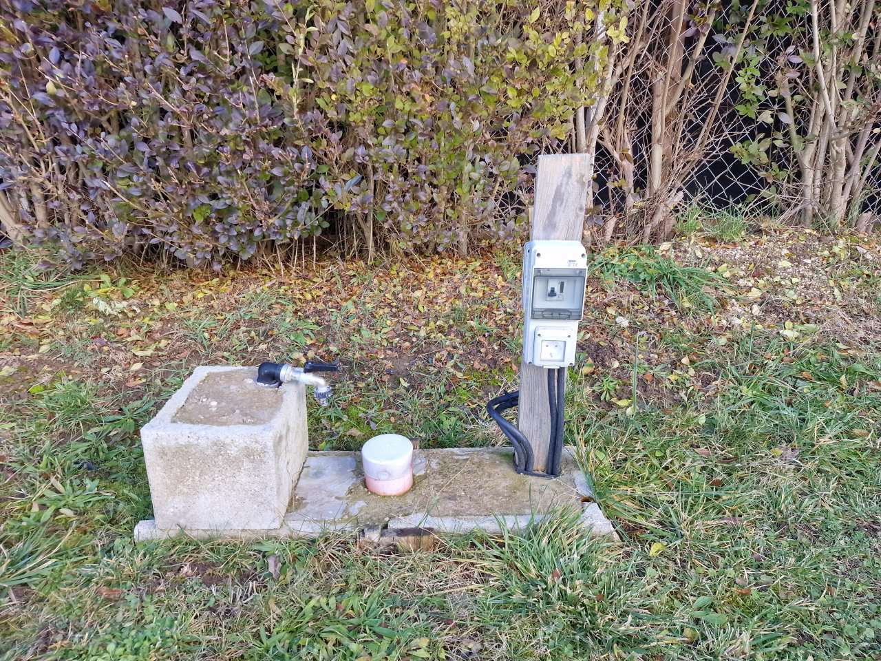 [object Object] - image