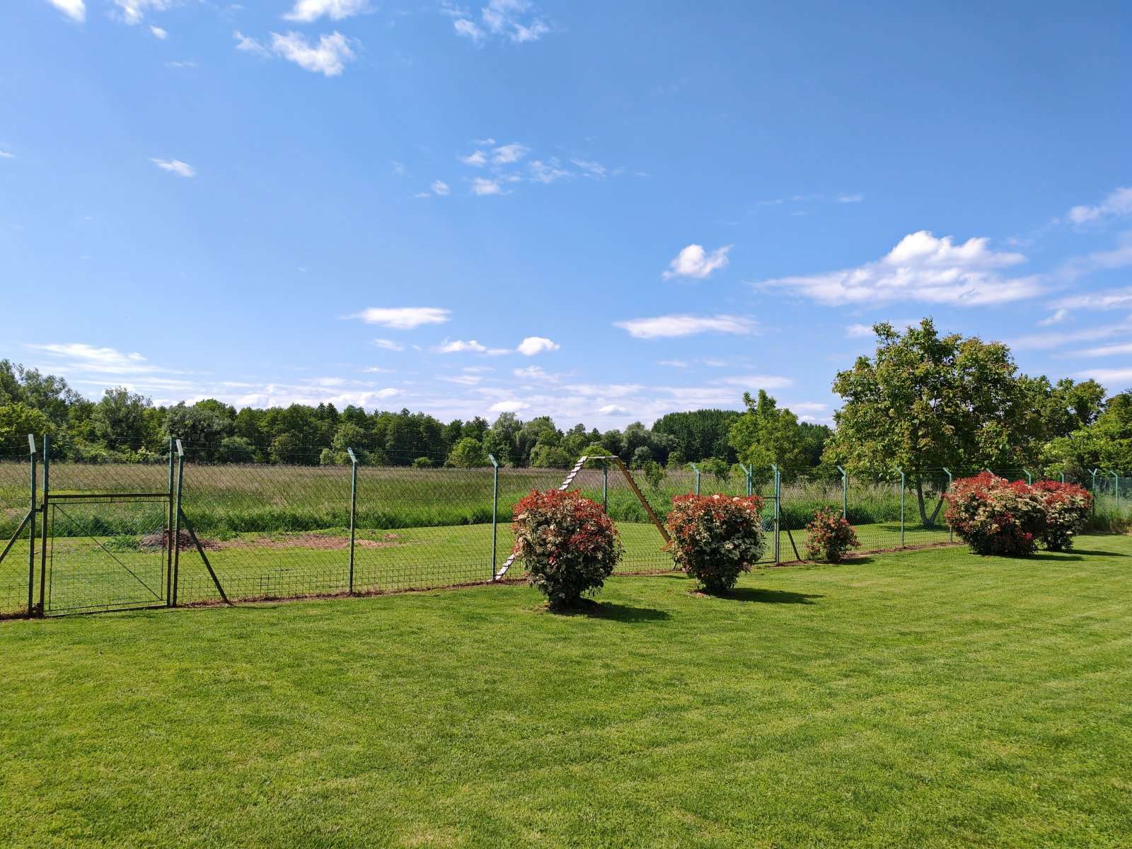 [object Object] - image