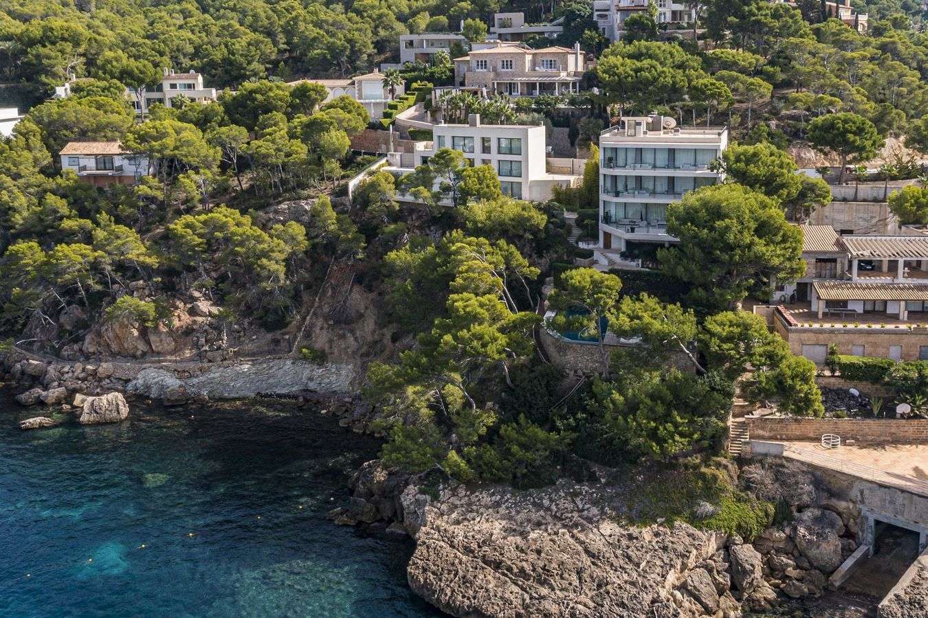 [object Object] - image