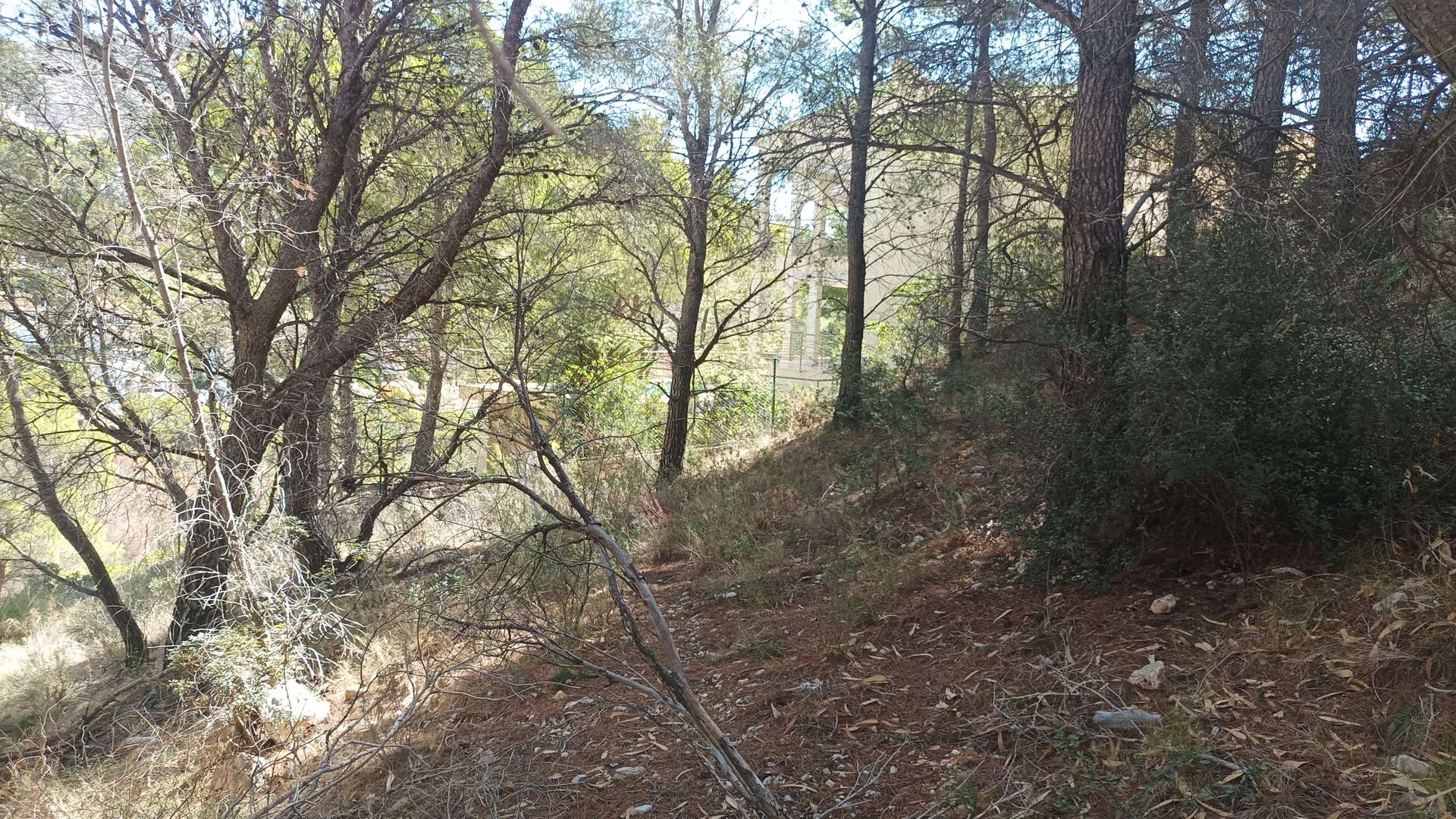 [object Object] - image