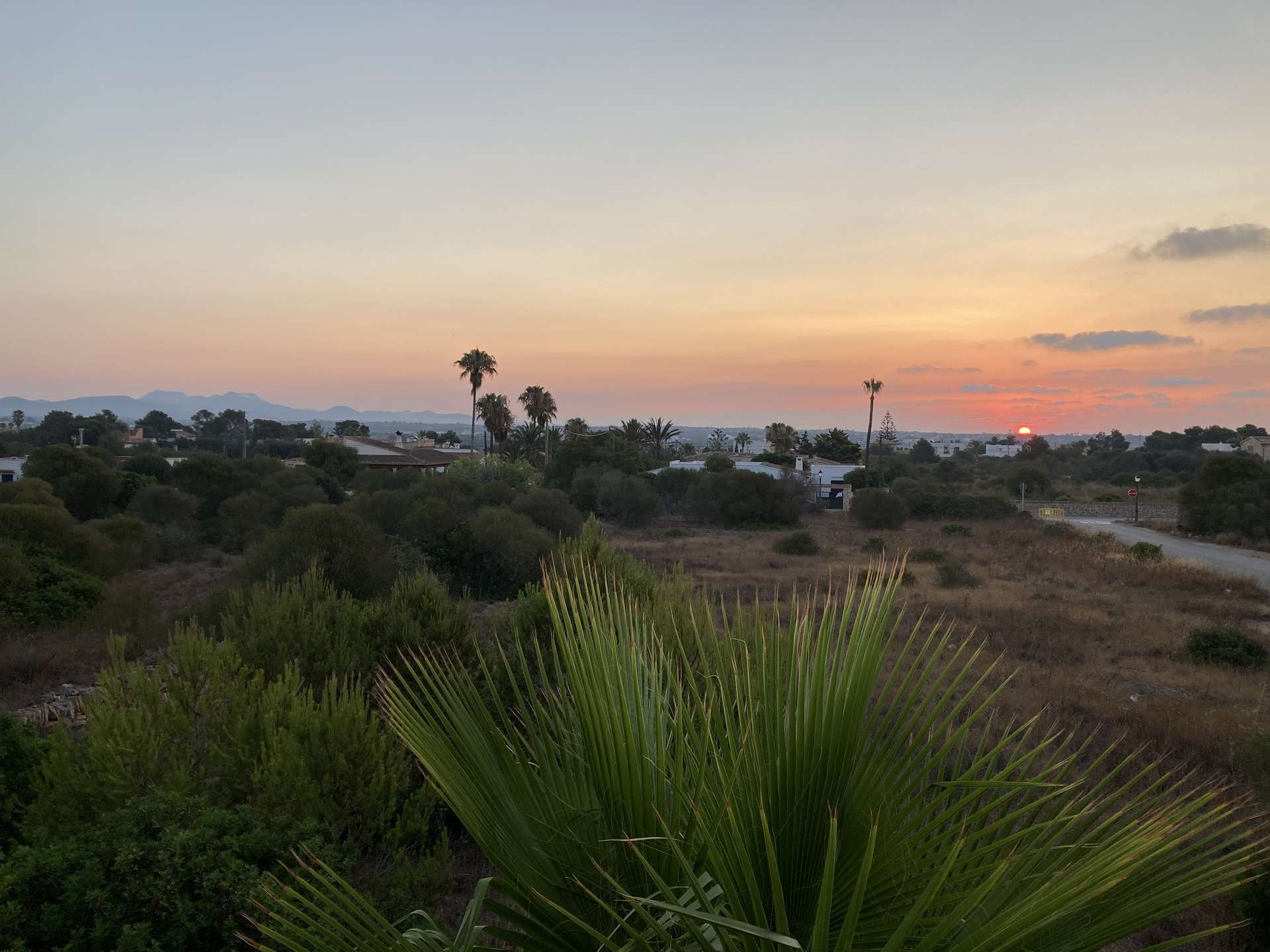 [object Object] - image