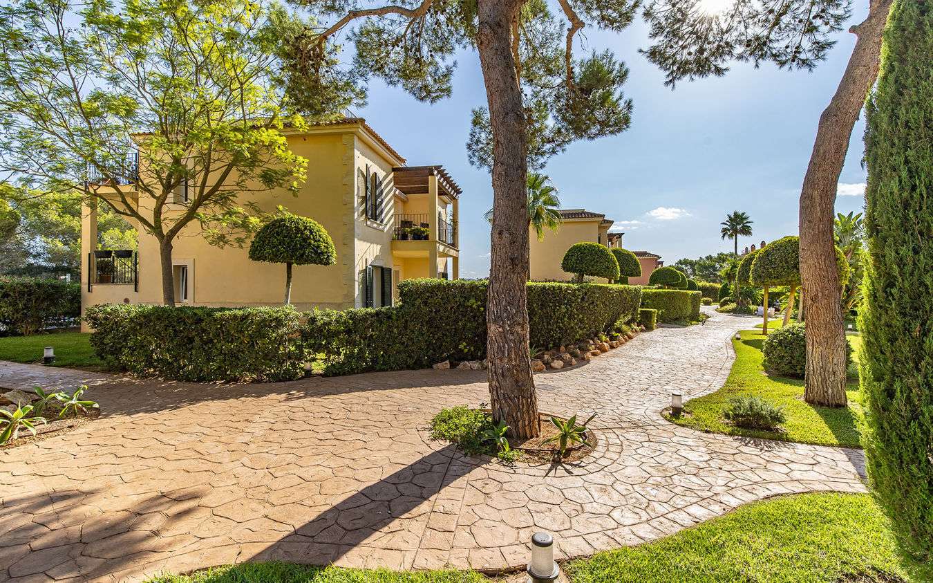 [object Object] - image