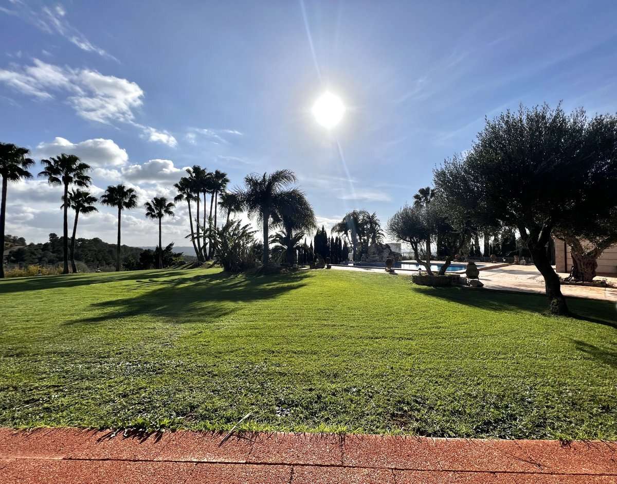 [object Object] - image