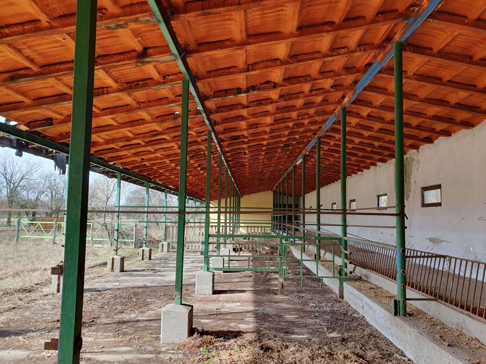 [object Object] - image