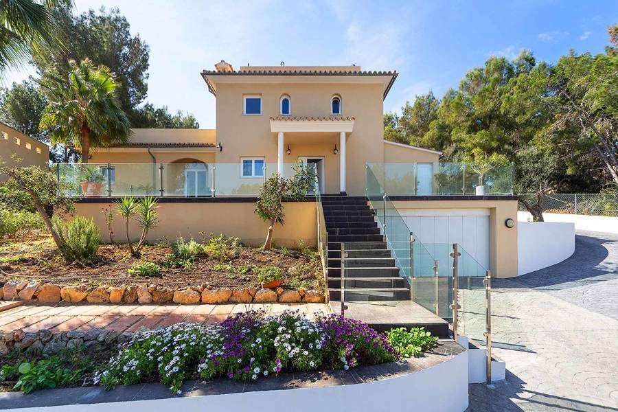 [object Object] - image