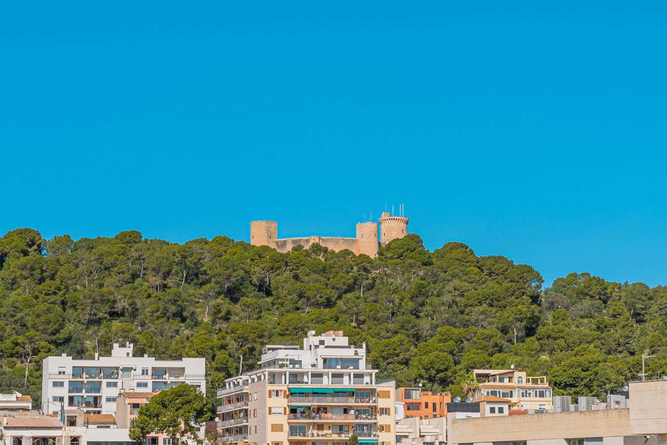 [object Object] - image