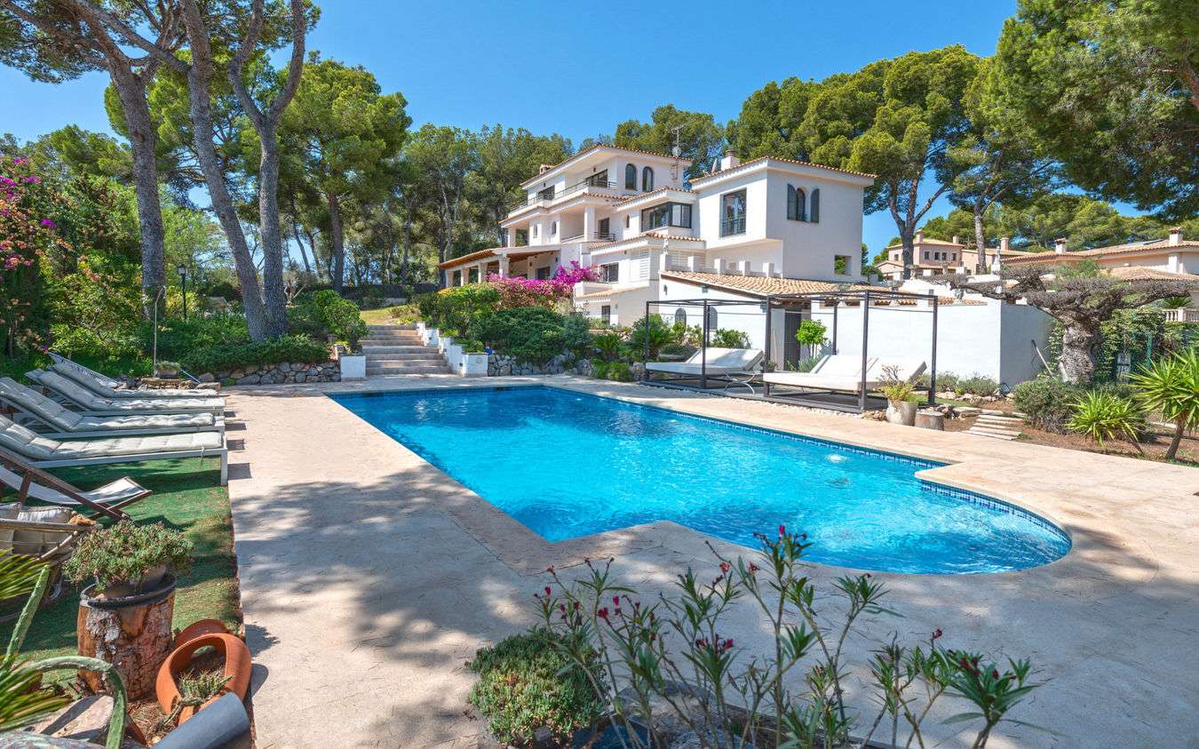 [object Object] - image