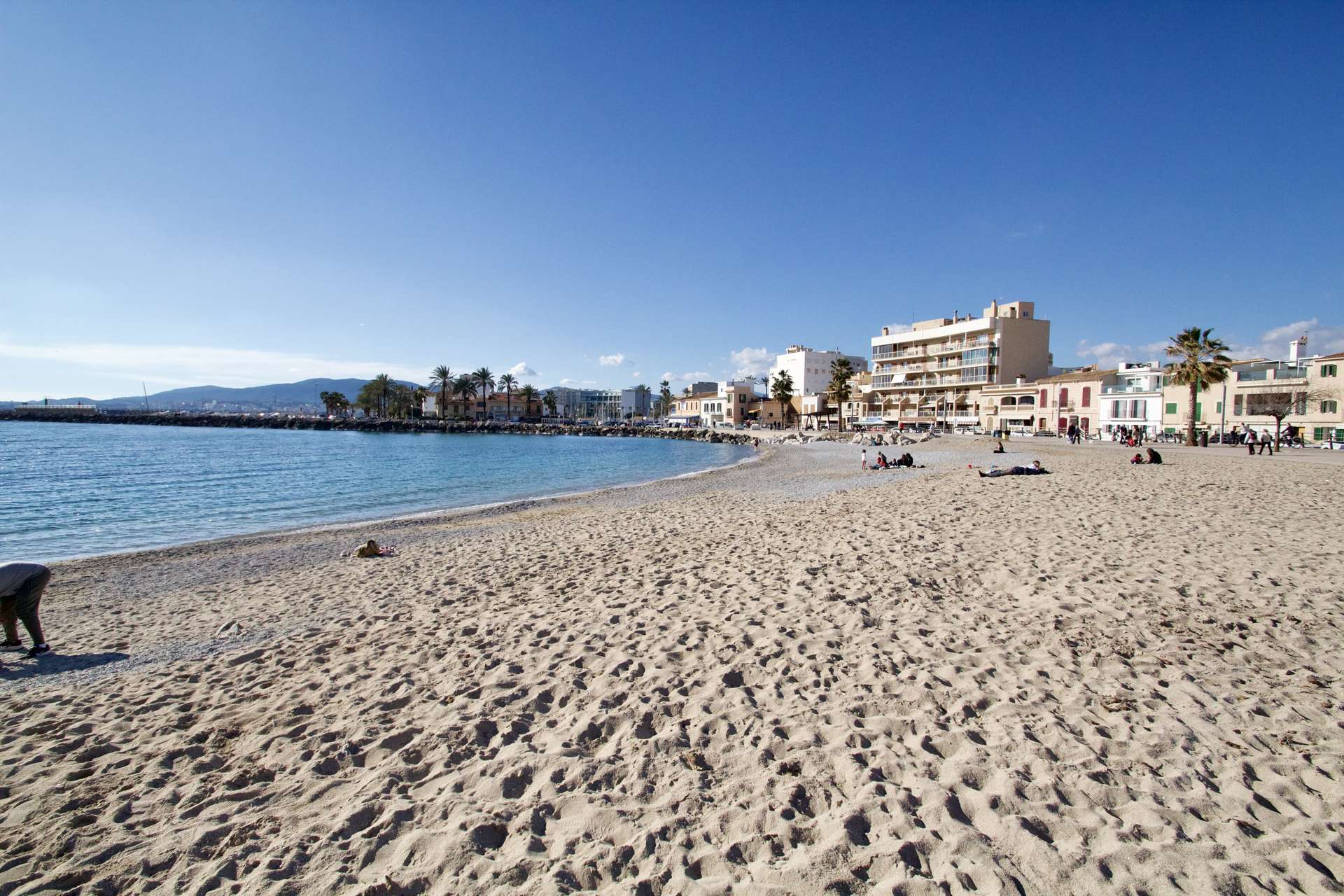 [object Object] - image