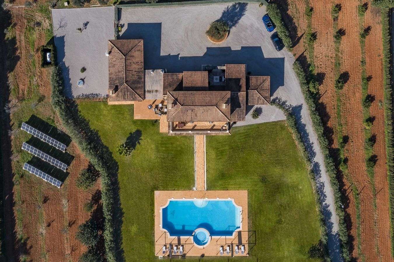 [object Object] - image