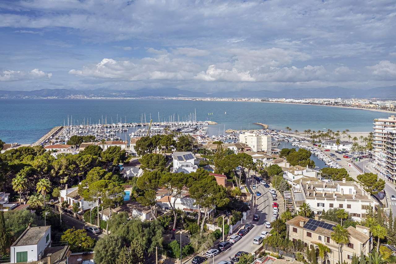 [object Object] - image