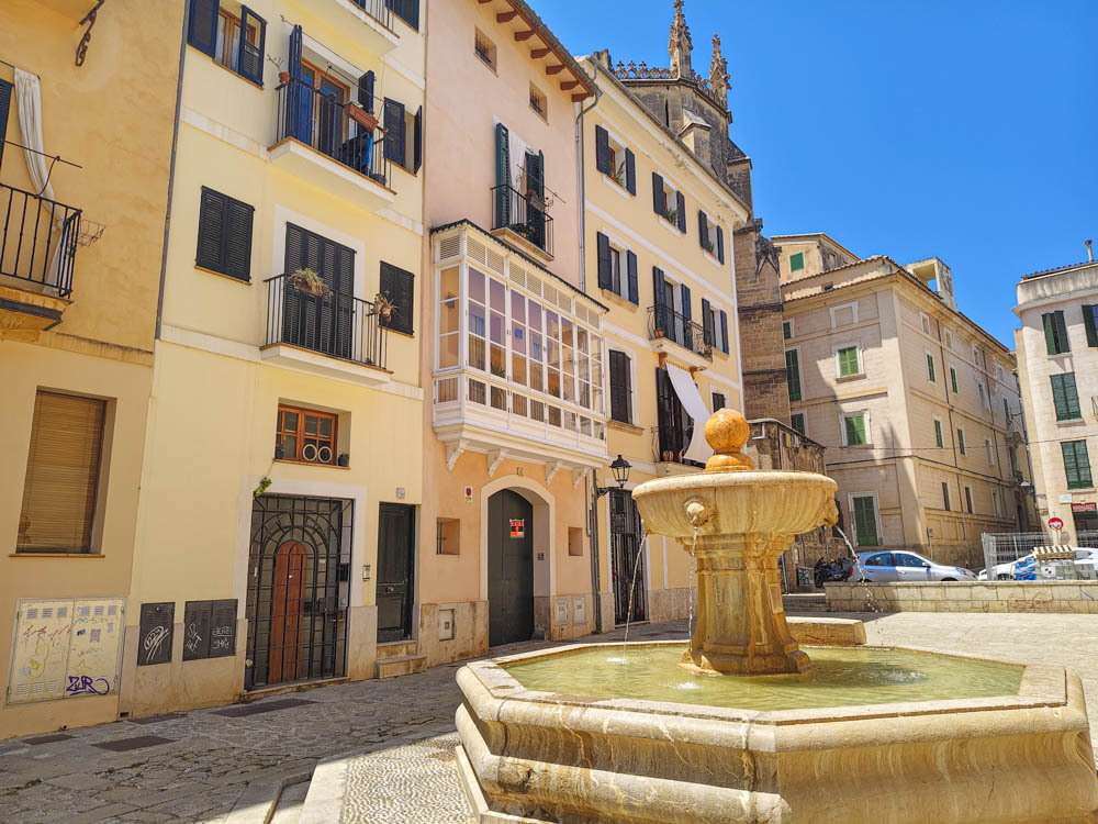 [object Object] - image