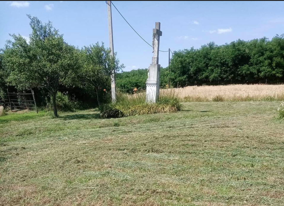 [object Object] - image