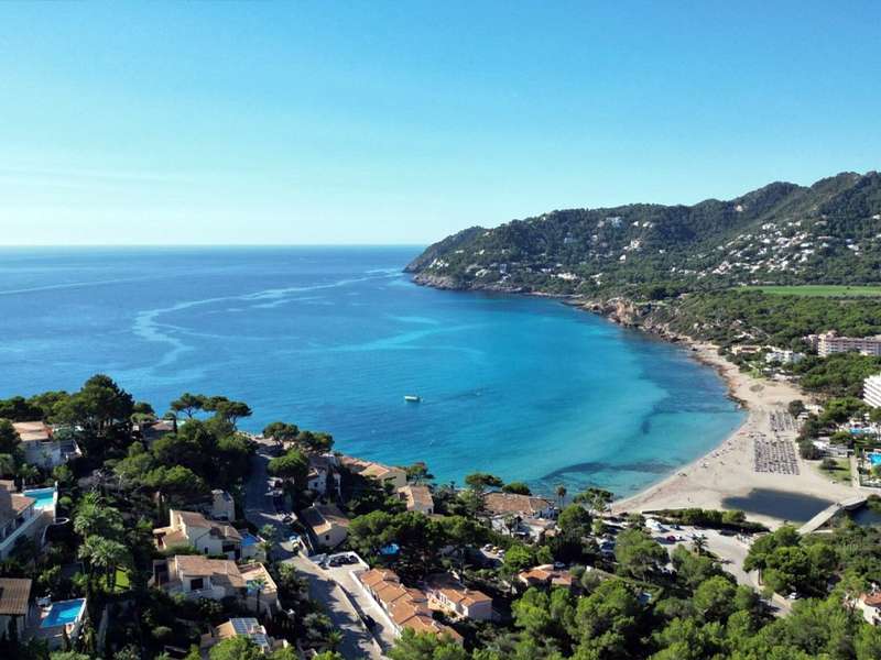 [object Object] - image